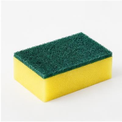 Sponge